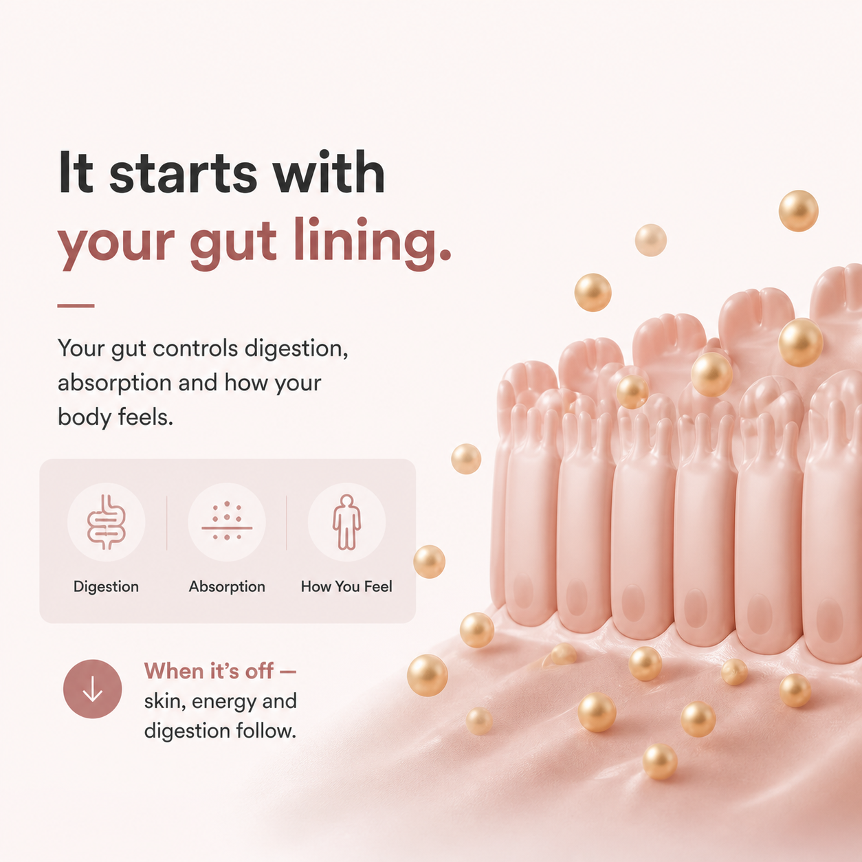 Premium 30% IgG Colostrum for Gut, Skin & Daily Energy Support